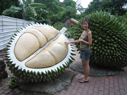 gigantic durian